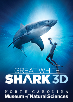 Great White Shark 3D Movie