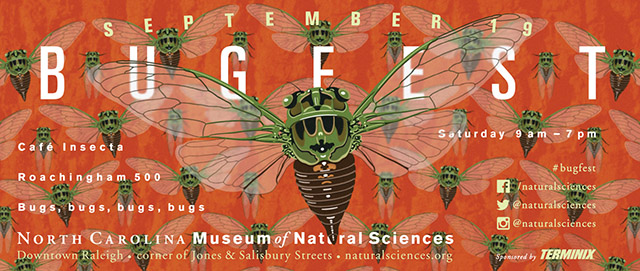 BugFest September 19, 2015. Saturday, 9am-7pm. Cafe Insecta, Roachingham 500, bugs, bugs, bugs. #bugfest. North Carolina Museum of Natural Sciences, Downtown Raleigh.