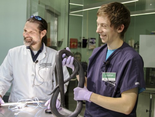 Dr. Dan Dombrowski oversees the Window on Animal Health.