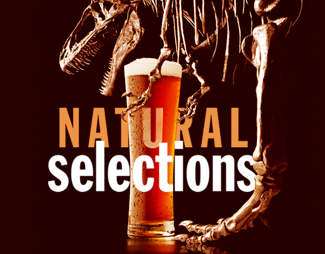 Natural Selections header