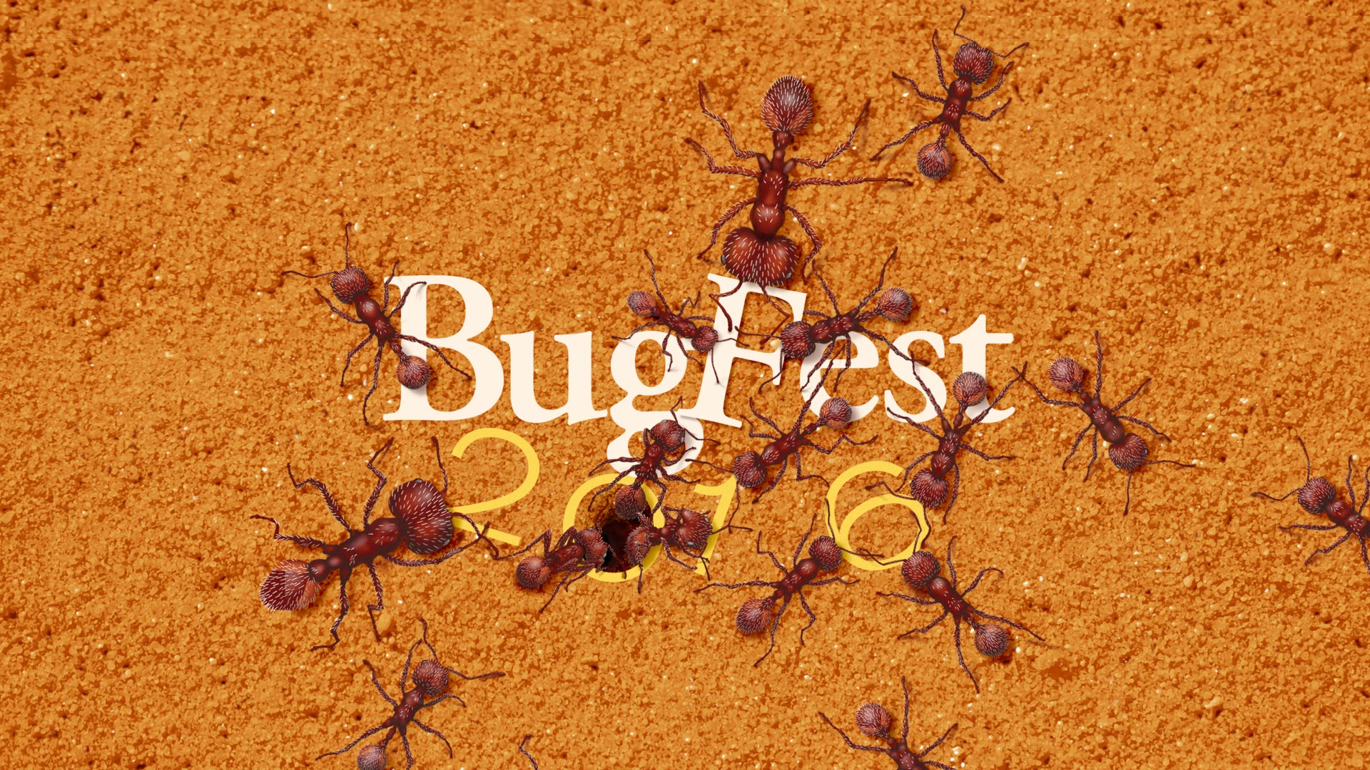 Bugfest 2016: September 17