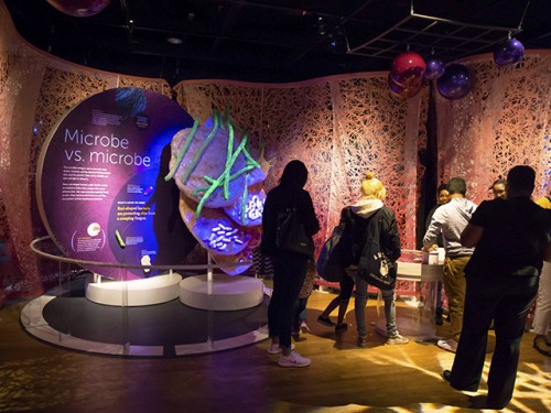 NC Museum of Natural Sciences to reveal The Secret World Inside You — microbes!