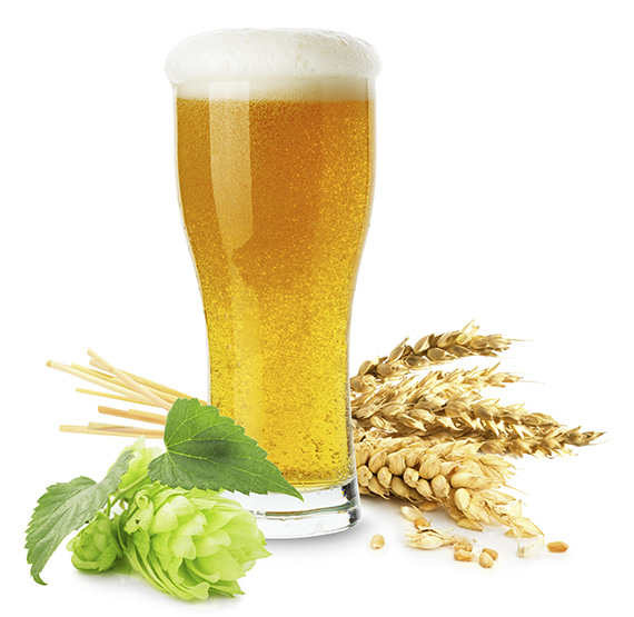 Glass of beer with wheat and hops