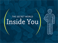 The Secret World Inside You