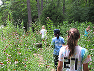 Girls in Science Summer Ed-Venture