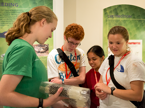 Junior Volunteers