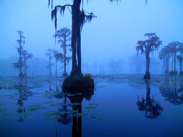 Banks Lake Foggy Morn by Richard Mathis.