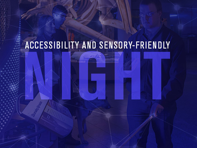 Accessibility and Sensory-friendly Night graphic