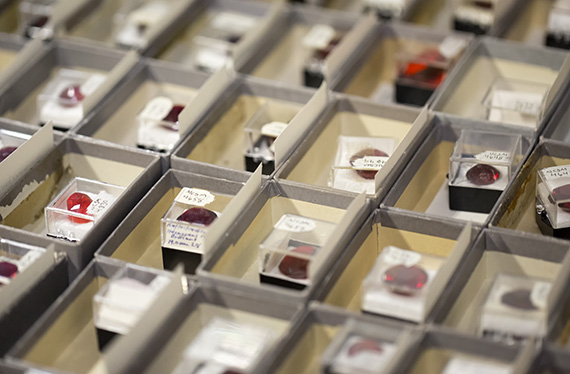 Geology collections: drawer of gemstones