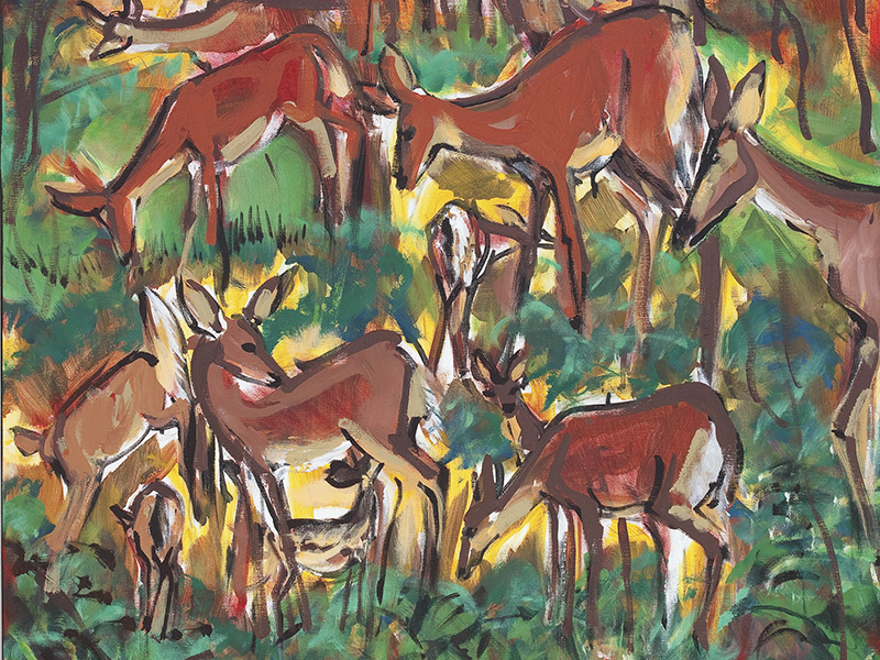 Deer Sketching by Shannon Bueker.