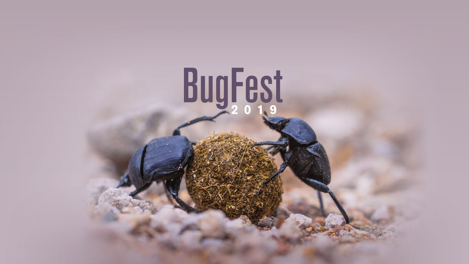 North Carolina Museum of Natural Sciences