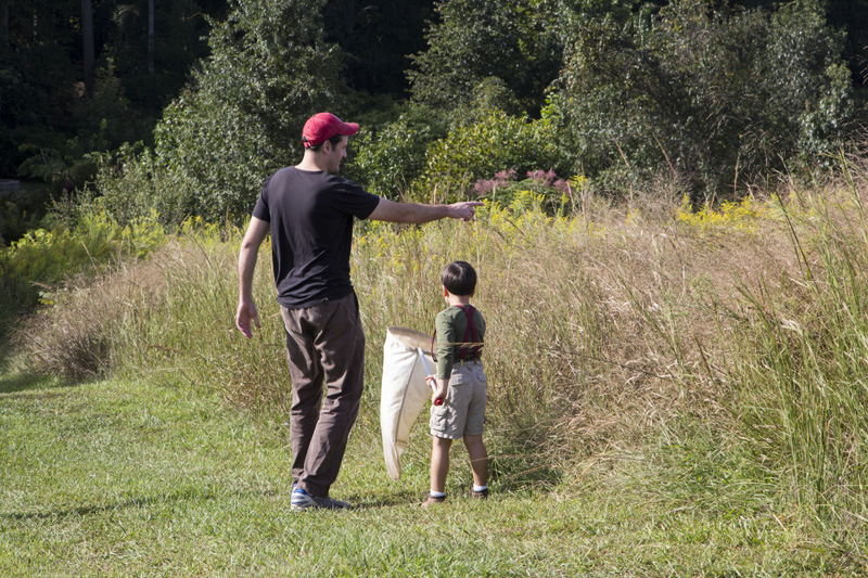 A father and son catching insects at Prairie Ridge during Take a Child Outside Week. Photo: Karen Swain/NCMNS.