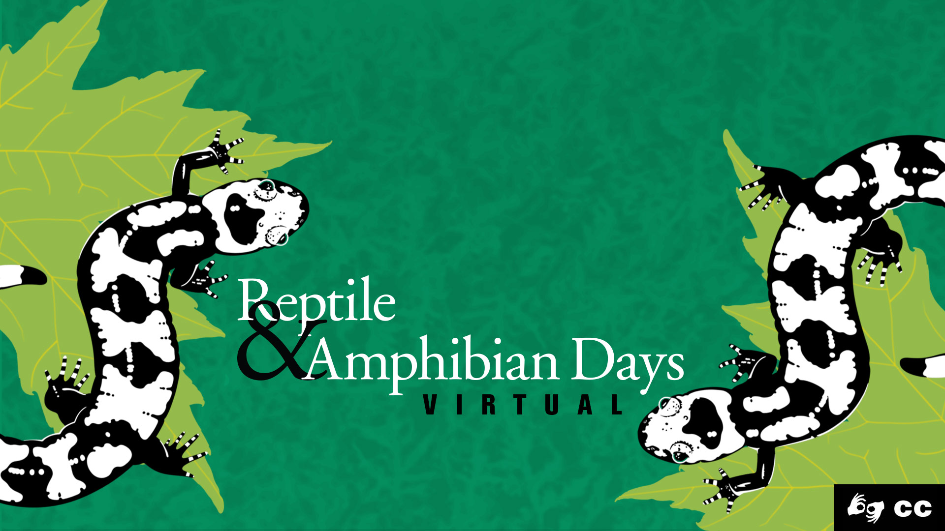 North Carolina Museum of Natural Sciences