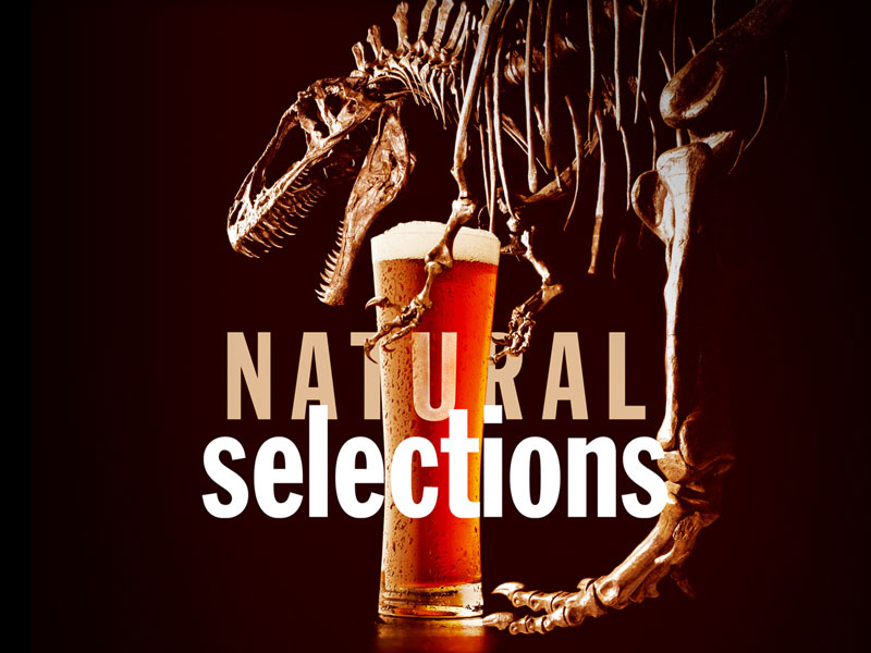 Natural Selections - Acro with beer