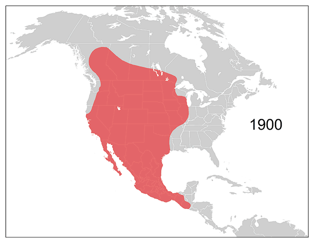 Coyote range expansion by decade, 1900–2016. 