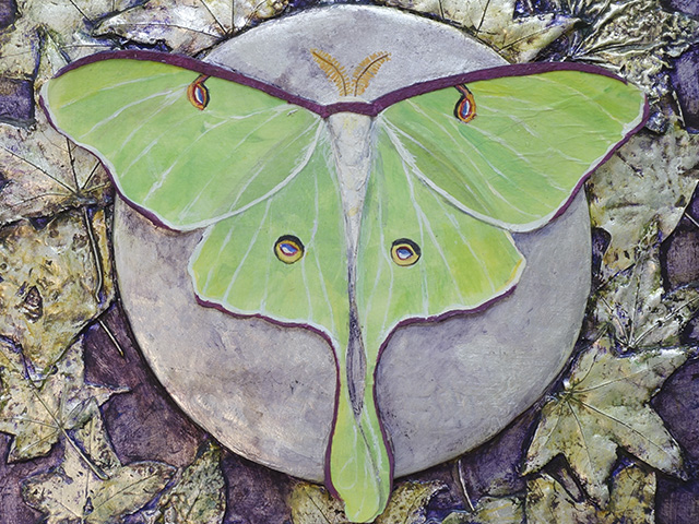 Luna Moth by Lind Hollingsworth