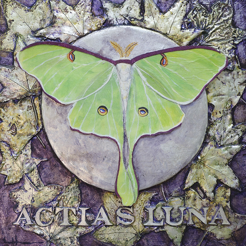 Luna Moth by Lind Hollingsworth