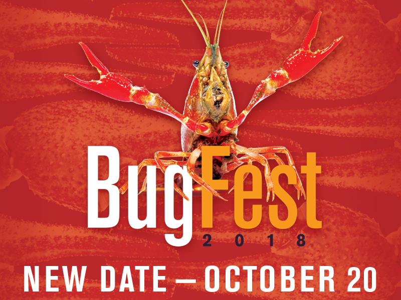 BugFest 2018. New date - October 20