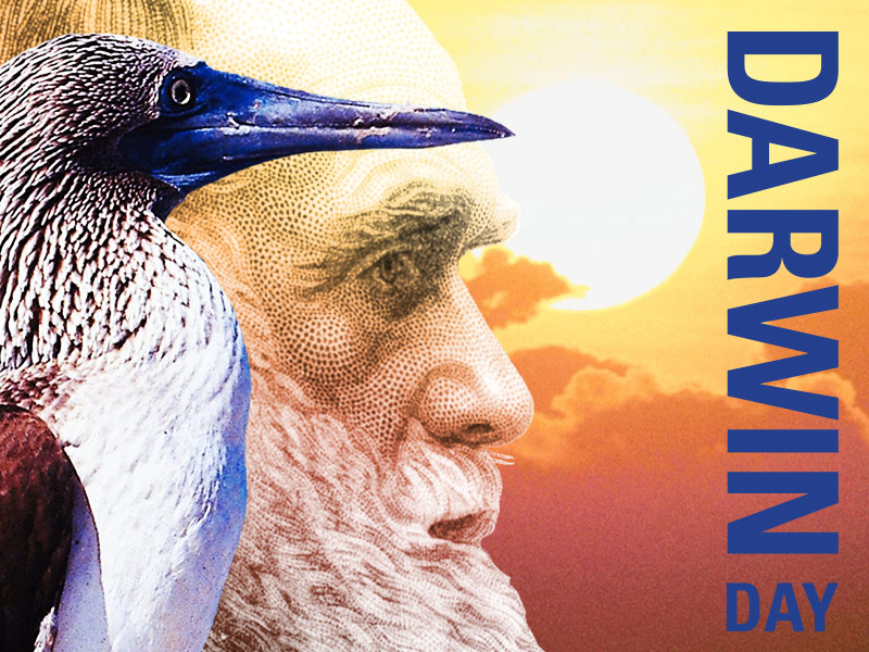 N.C. Museum of Natural Sciences celebrates Darwin Day, Nov. 10