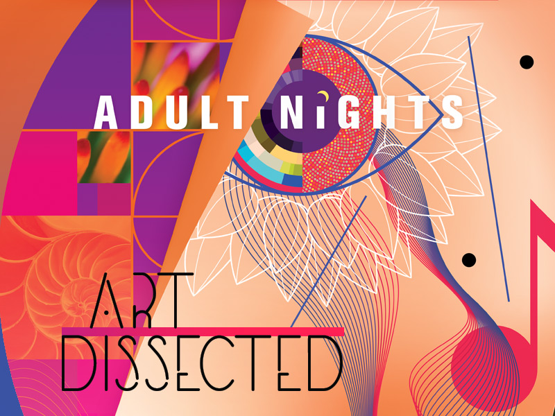 Adult Night: Art Dissected