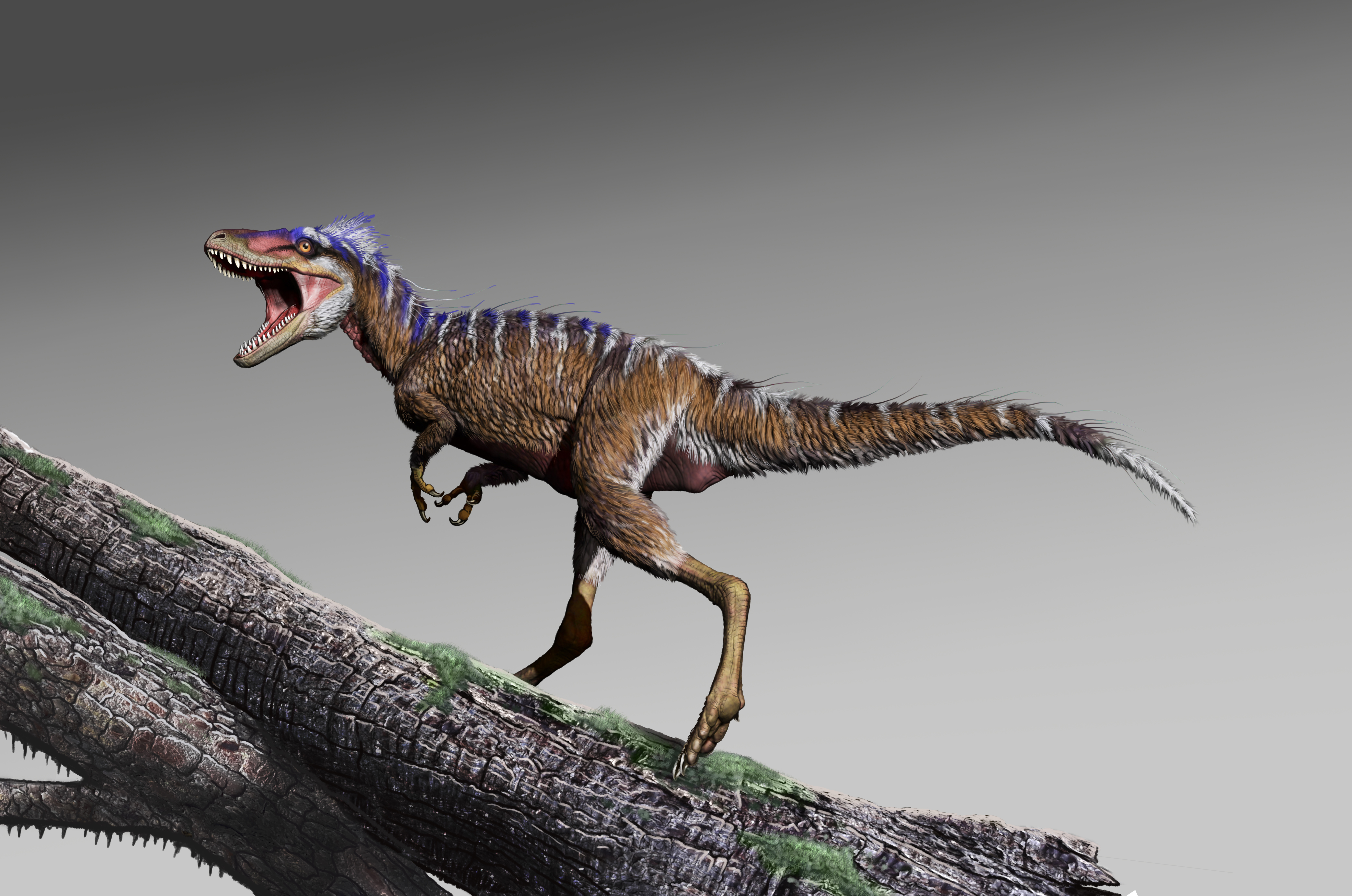 Dinosaurs: T. rex had more powerful jaws than its theropod ancestors