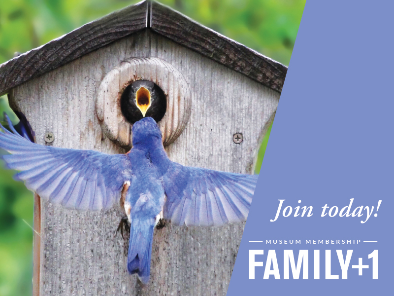 Family+1 Membership - Join today!
