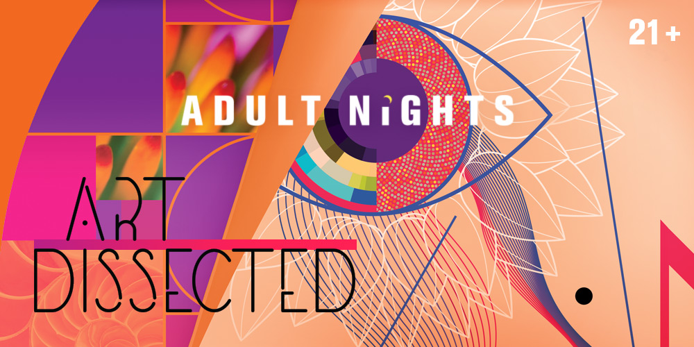 Adult Nights: Art Dissected