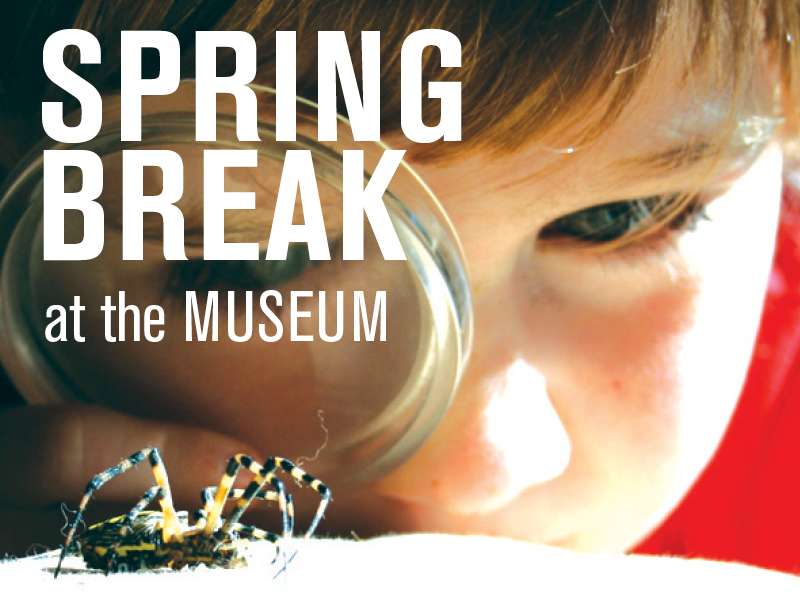 Spring Break at the Museum