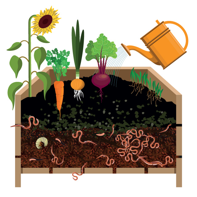 Vermiculture bin