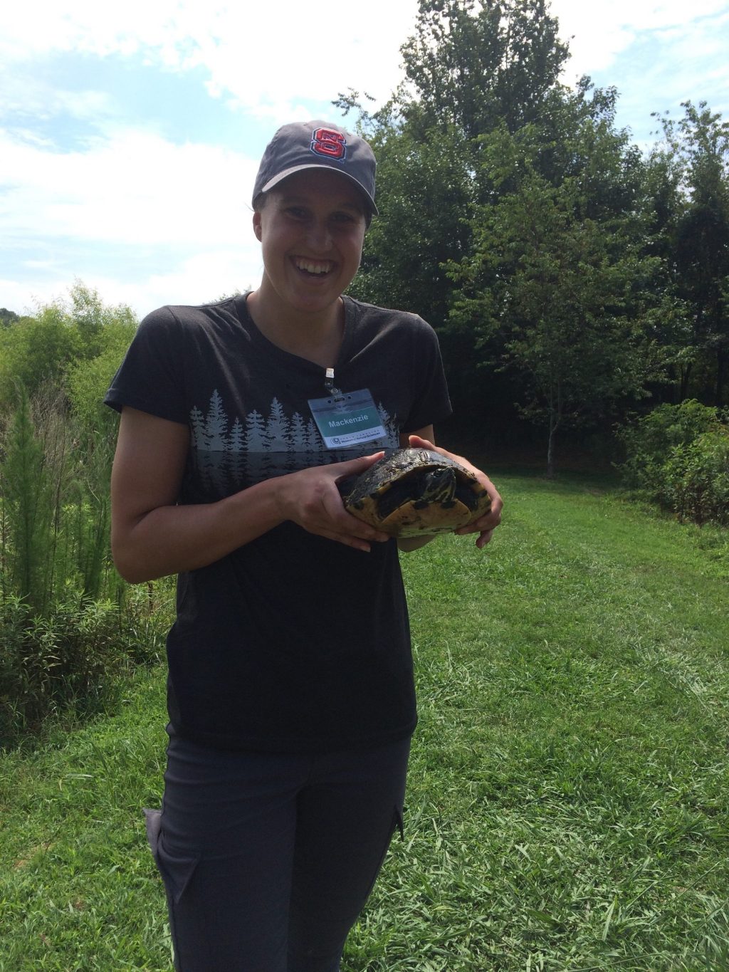Holding yellow-bellied slider