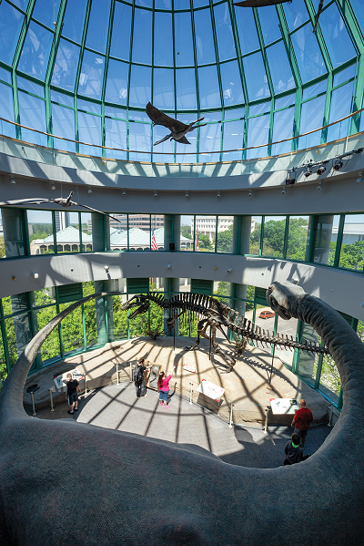 The iconic inside of the Acro Dome! You can see the Acrocanthosaurus skeleton in this shot.