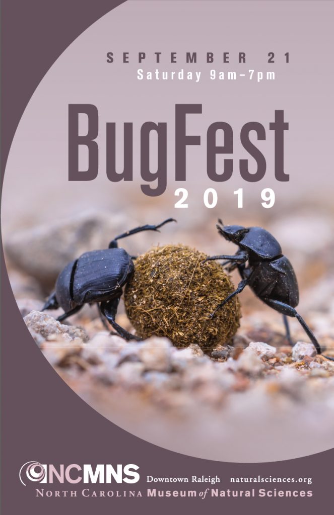 It’s the Year of the Dung Beetle at Science Museum’s BugFest, Sept. 21