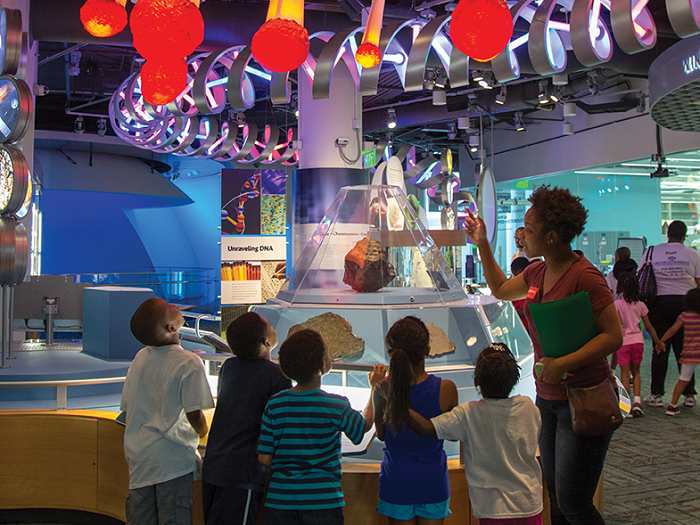 A young teacher is surrounded by students beneath the red, glowing meteorite models in the Museum. She points up, explaining the sciences behind space!