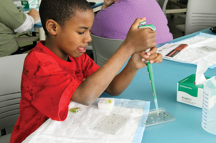 A young boy, concentrated with his tongue out, uses a pipette to experiment all by himself!