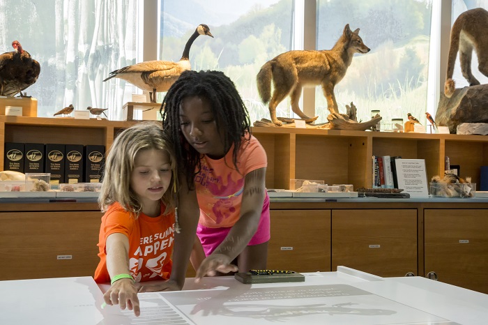 Two young girls share a moment of scientific discovery as they explore the Naturalist Center's interactive tables.