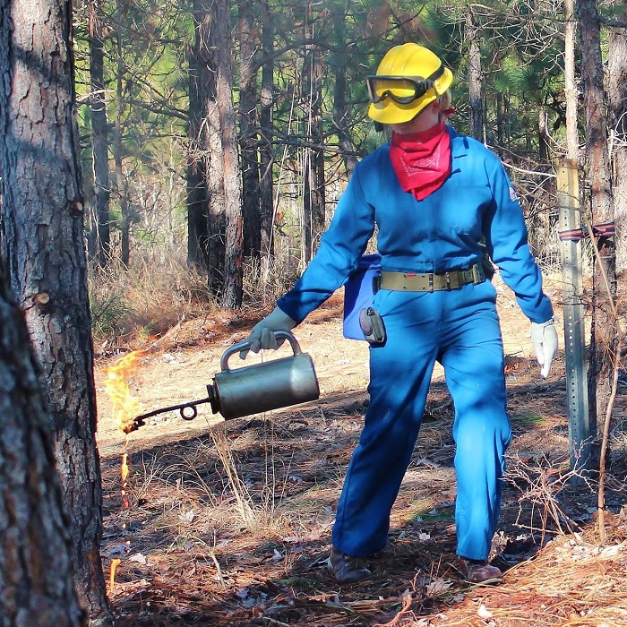 Erin sprinkles propane over the base of a grassy tree. 