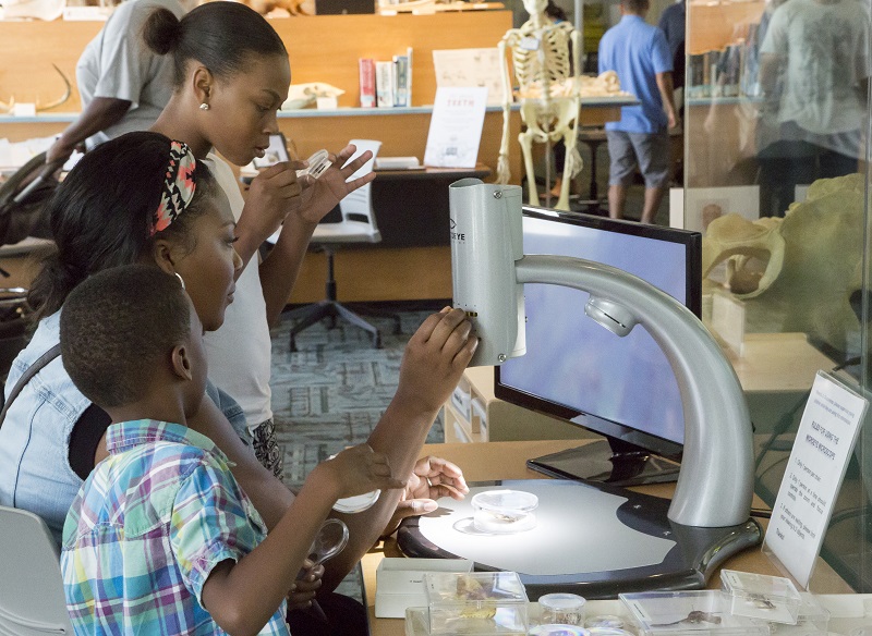 A mother and her two children use a big white microscope to share a moment of scientific wonder. A light is cast from the microscope to illuminate a specimen just out of the camera's view. How curious!