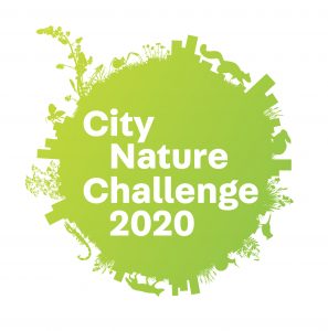 City Nature Challenge 2020 logo