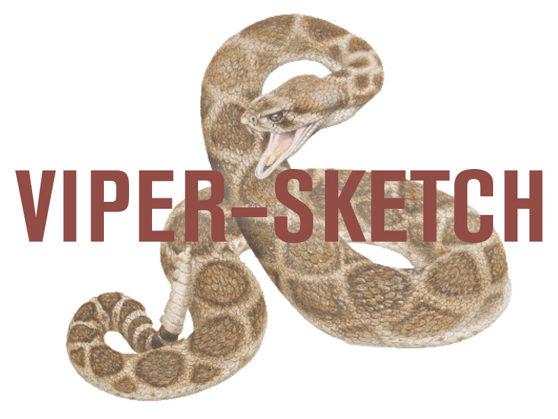 Viper-sketch