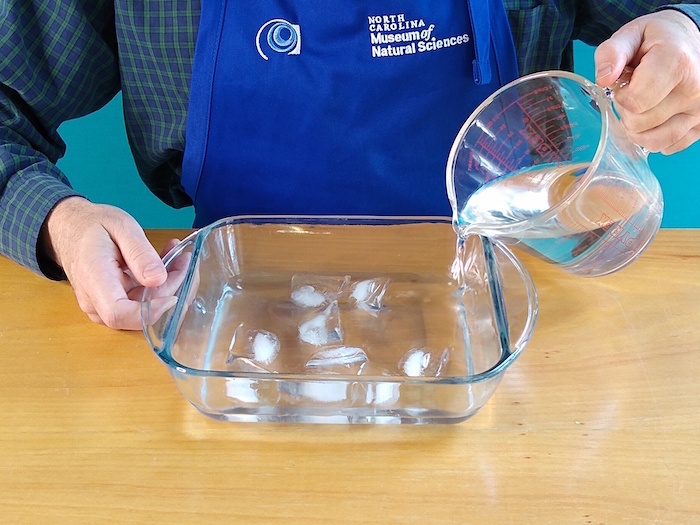 Water is poured into the dish.