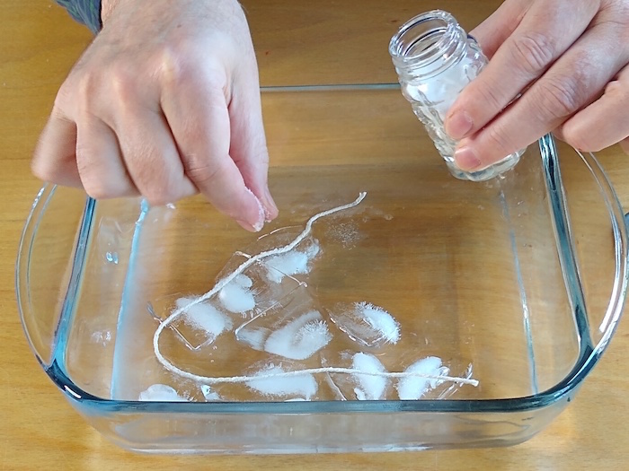Sprinkling salt onto the ice cubes.