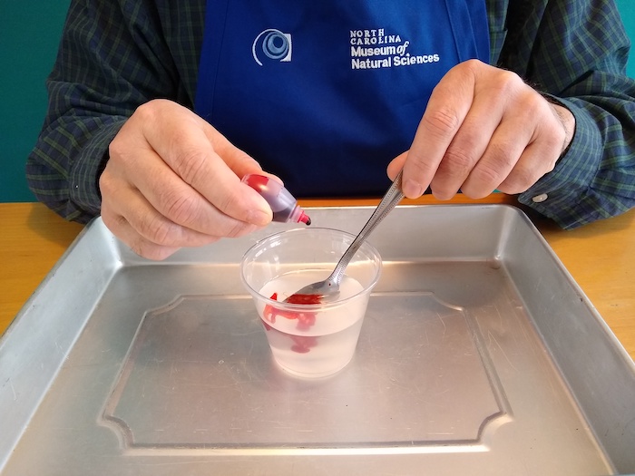 The person drips red dye into the cup of salty water.