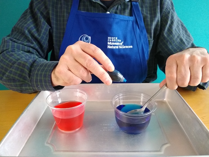 The person puts blue dye into a SECOND cup of water without salt.