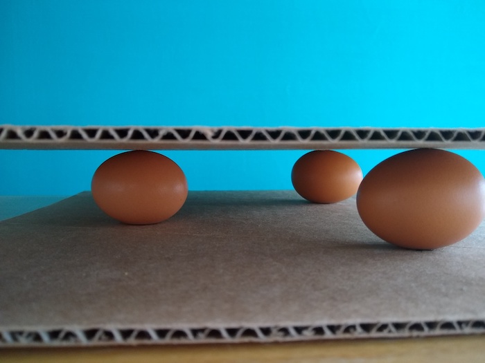 Eggs rest on the cardboard.