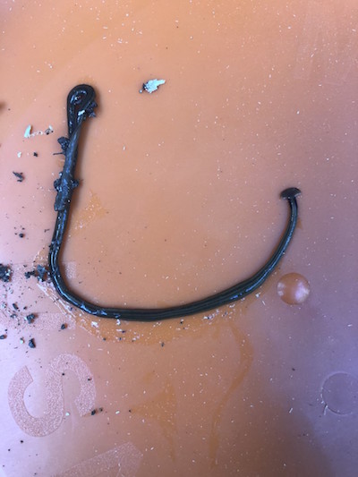 A black worm lays on a table.