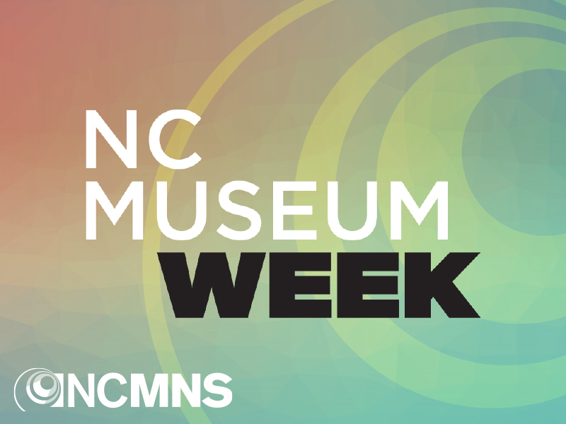 NC Museum Week