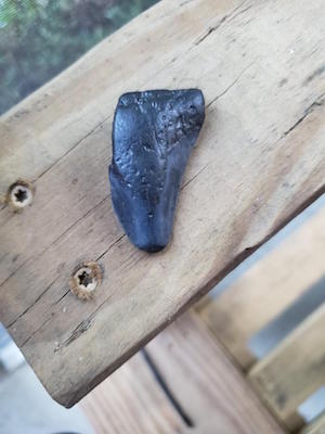 A small black tooth-looking item sits on a wooden board.