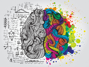 Illustration of half logical brain and half creative brain.