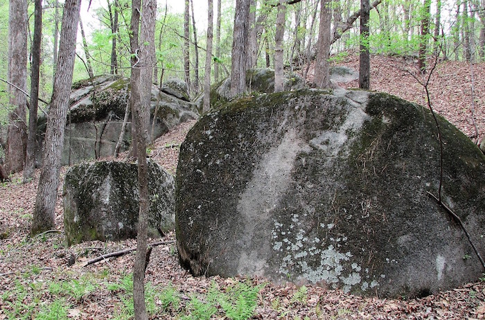 A large rock covered in moss sits on the forest floor.