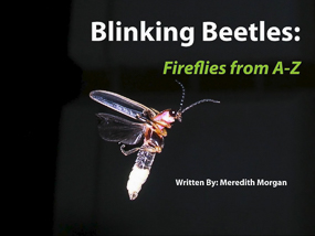 Blinking Beetles: Fireflies From A to Z. Written by Meredith Morgan.